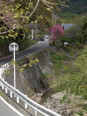 県道257号