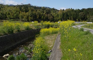 大谷川