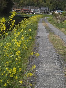 円興寺の集落へ