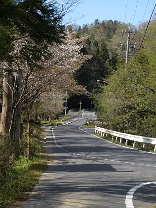 県道241号