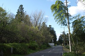 山麓道路