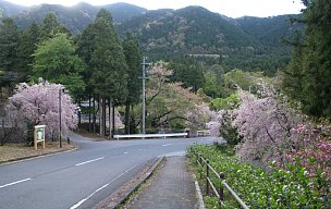 大津谷公園