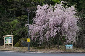 「西美濃てくてくろーど」