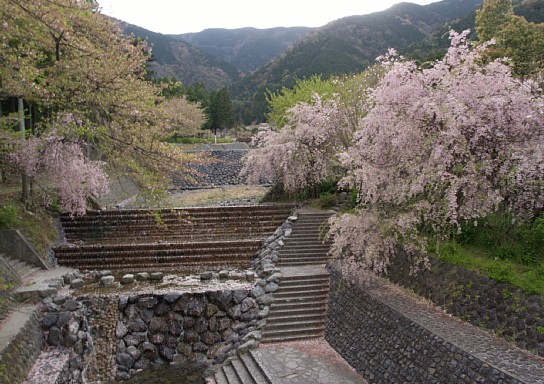 大津谷公園