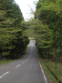 山麓道路