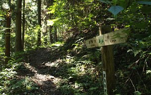 鍋倉山登山道