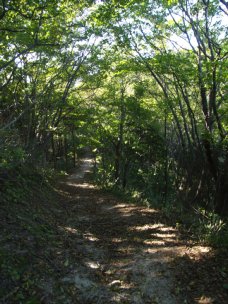 下山道