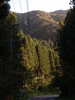 県道40号