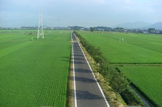 東近江の田