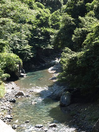 高知川