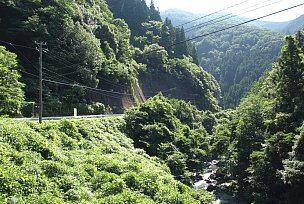 小津渓谷沿いの道