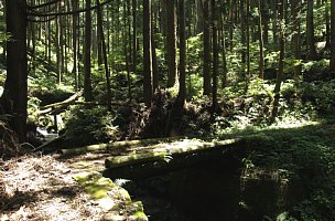 木橋