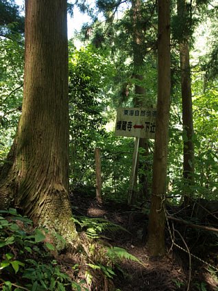 この先悪路