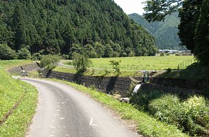 川べりの道