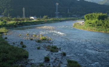 根尾川