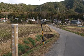 神海の田