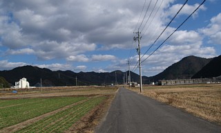 田園地帯