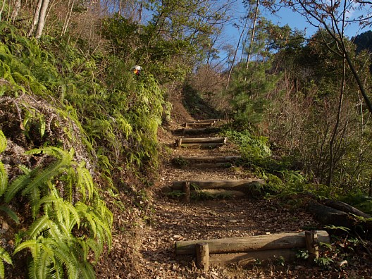 登山道