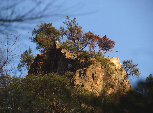 岩峰