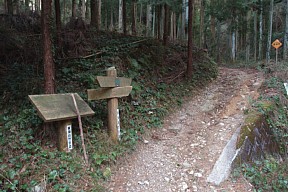 千鳥山登山道