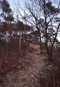 日没後の登山道