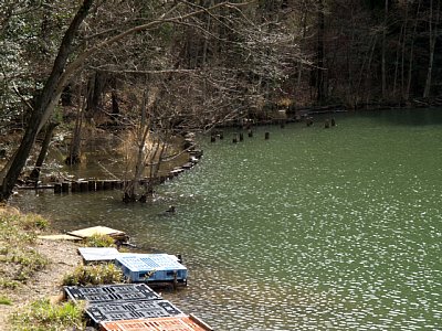 三ツ池の水面