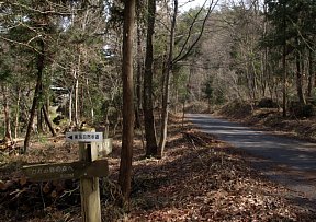 各務原パークウェーへ上る林道