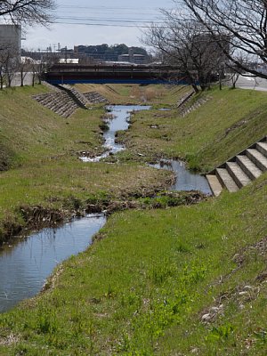 大安寺川