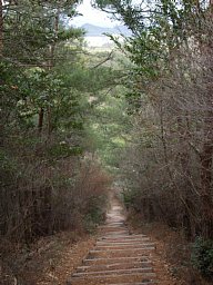 継鹿尾山の下り