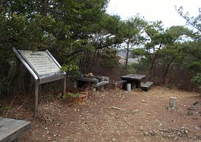 「森林を守る野鳥たち」