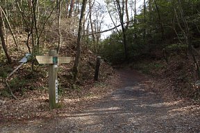 恵那コース分岐点・本線