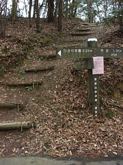 ひかり学園分岐