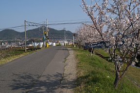 踏切