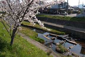 大安寺川