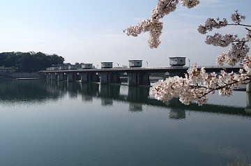 ライン大橋