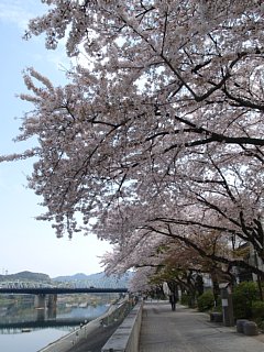 遊歩道