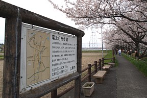 尾北自然歩道