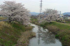 支流