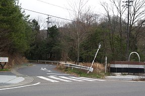 五条川沿いの道
