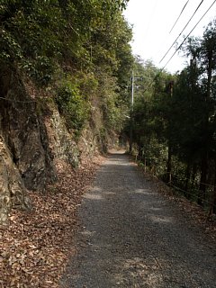 陽光