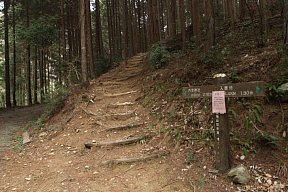 山道の入口