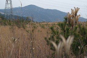 弥勒山