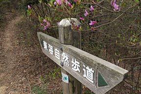 山道