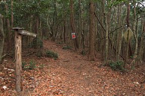 雨の山道