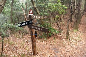 都市緑化植物園分岐