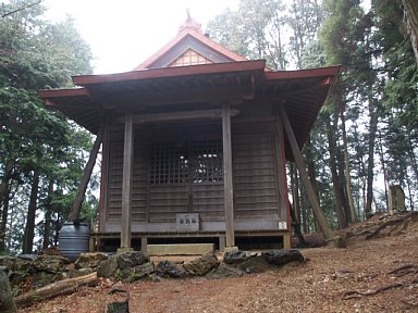 道樹山