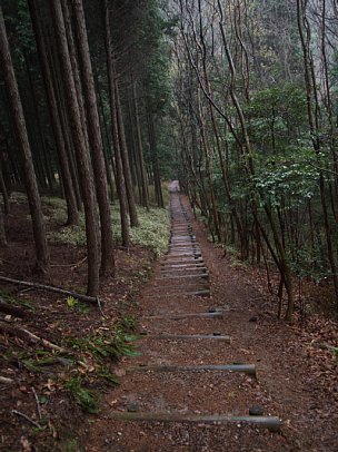 丸木階段