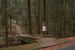 再び山道へ
