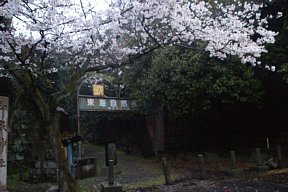 春日井コース