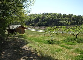 田園地帯